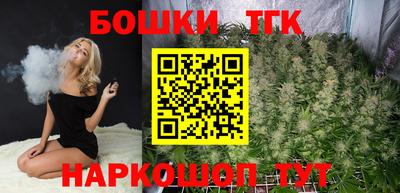 молекула духа Сланцы