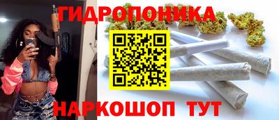 молекула духа Сланцы